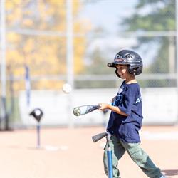 Baseball Day in Brampton